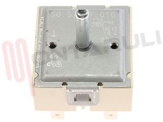 Immagine di REGOLATORE TENSIONE 13A 230V