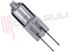 Immagine di LAMPADA ALOGENA BISPINA 10W 12V G4