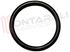 Immagine di ORING 42,86x3,53 MM. DIDIESSE FROG FABER