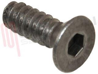 Immagine di VITI AUTOFORANTI INOX FISSAGGIO BRUCIATORE