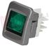 Immagine di INTERRUTTORE BIPOLARE 16A LUMINOSO VERDE CORNICE SILVER