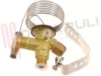 Visualizza i prodotti della categoria Valvole Refrigerazione                                       Immagine per la categoria Valvole Refrigerazione