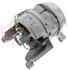 Immagine di MOTORE LAVATRICE P50 D.23.2MM PS9