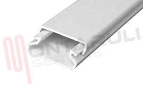 Visualizza i dettagli per CANALINA 30/1X10 CON COPERCHIO Immagine di CANALINA 30/1X10 CON COPERCHIO