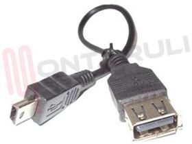 Visualizza i dettagli per CAVO ADATTATORE USB FEMMINA A MINI USB MASCHIO Immagine di CAVO ADATTATORE USB FEMMINA A MINI USB MASCHIO