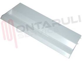 Visualizza i dettagli per SPORTELLO CONGELATORE BIANCO 435X180MM. Immagine di SPORTELLO CONGELATORE BIANCO 435X180MM.