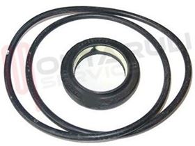 Visualizza i dettagli per ANELLO TENUTA 27X40X7/8 KIT GUARNIZIONE DX+SX Immagine di ANELLO TENUTA 27X40X7/8 KIT GUARNIZIONE DX+SX