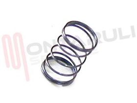 Visualizza i dettagli per MOLLA PERNO CONGEGNO SICUREZZA TM21 TM21.2 Immagine di MOLLA PERNO CONGEGNO SICUREZZA TM21 TM21.2