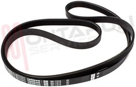 Visualizza i dettagli per CINGHIA RIGHI 5 MEDIO 1210 J5 EX. 5EPJ1215 Immagine di CINGHIA RIGHI 5 MEDIO 1210 J5 EX. 5EPJ1215