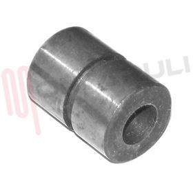 Visualizza i dettagli per BOCCOLA PULEGGIA LUCIDATRICE UNIVERSALE Immagine di BOCCOLA PULEGGIA LUCIDATRICE UNIVERSALE