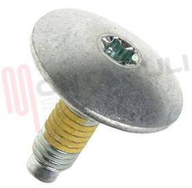 Visualizza i dettagli per PERNO FISSAGGIO PULEGGIA Immagine di PERNO FISSAGGIO PULEGGIA