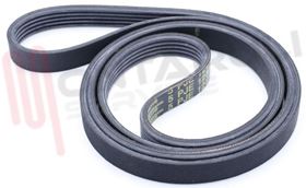 Visualizza i dettagli per CINGHIA RIGHI 5 MEDI 1281 5EPJ Immagine di CINGHIA RIGHI 5 MEDI 1281 5EPJ