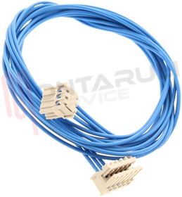 Visualizza i dettagli per CABLAGGIO PRESSOSTATO-SENS.PRESS.-MODULO Immagine di CABLAGGIO PRESSOSTATO-SENS.PRESS.-MODULO