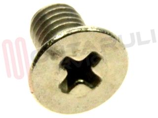Immagine di VITE ACCIAIO INOX M5X8 PER FILTRO DOCCETTA