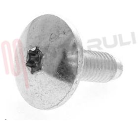 Visualizza i dettagli per VITE PULEGGIA CONDOTTA TORX M8X23 Immagine di VITE PULEGGIA CONDOTTA TORX M8X23