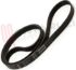Immagine di CINGHIA RIGHI 8 STRETTI CM.57,2 1230/1231 H8