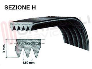 Immagine di CINGHIA RIGHI 6 STRETTI CM.54,5 EL1188 H6 EL ORIGINALE