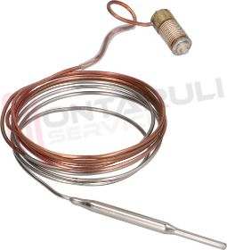 Visualizza i dettagli per ELEMENTO SENSIBILE MINISIT 100-340°C Immagine di ELEMENTO SENSIBILE MINISIT 100-340°C