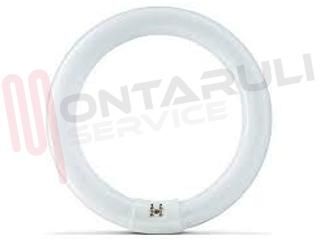 Immagine di TUBO FLUORESCENTE CIRCOLARE 32W/865 6500K LUCE FREDDA