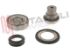 Immagine di MOZZO KIT 4 PEZZI CON CUSCINETTO 6203 Ø17