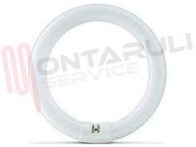 Visualizza i dettagli per TUBO FLUORESCENTE CIRCOLARE L32W/41-827 Immagine di TUBO FLUORESCENTE CIRCOLARE L32W/41-827