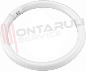 Visualizza i dettagli per TUBO FLUORESCENTE CIRCOLARE 32W 6500K G10Q LUCE FREDDA Immagine di TUBO FLUORESCENTE CIRCOLARE 32W 6500K G10Q LUCE FREDDA