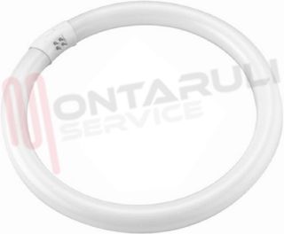 Immagine di TUBO FLUORESCENTE CIRCOLARE 32W 6500K G10Q LUCE FREDDA