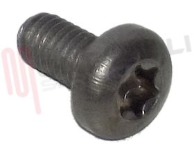 Visualizza i dettagli per VITE M4X8 FTGH TORX PER BRUCIATORE Immagine di VITE M4X8 FTGH TORX PER BRUCIATORE
