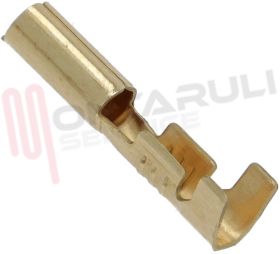 Visualizza i dettagli per CAPICORDA TERMINALE CIRCOLARE Immagine di CAPICORDA TERMINALE CIRCOLARE