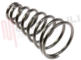 Visualizza i dettagli per MOLLA PER GANCIO DISPENSER TL PH2001 Immagine di MOLLA PER GANCIO DISPENSER TL PH2001