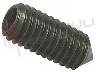 Immagine di VITE GRANO 20X8MM. TIPO GRANDE