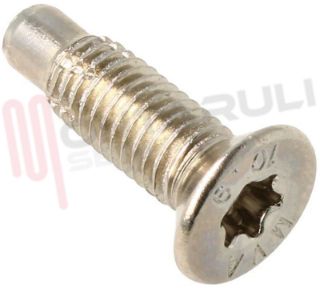Immagine di VITE TORX M8 X 27 NICHELATA ORIGINALE