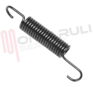 Immagine di MOLLA SPORTELLO LAVASTOVGILIE L=46,8MM. ORIGINALE