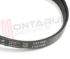 Immagine di CINGHIA RIGHI 7 STRETTI CM.53,5 1152 H7