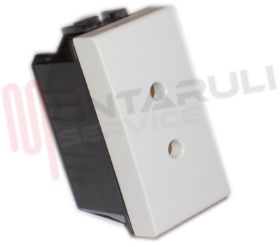 Visualizza i dettagli per PRESA MIGNON 2P 6A 24V BIANCA SERIE LIGHT Immagine di PRESA MIGNON 2P 6A 24V BIANCA SERIE LIGHT