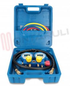 Visualizza i dettagli per GRUPPO MANOMETRICO DOPPIO VDG-4-S1 Immagine di GRUPPO MANOMETRICO DOPPIO VDG-4-S1