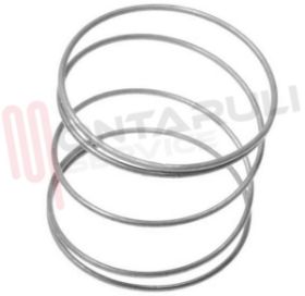 Visualizza i dettagli per MOLLA DISCO MANOPOLA CUCINA Ø 23,5MM. ORIGINALE Immagine di MOLLA DISCO MANOPOLA CUCINA Ø 23,5MM. ORIGINALE