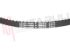 Immagine di CINGHIA DENTATA 210XL037 = 210XL