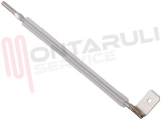 Immagine di ASTINA SONDA DI LIVELLO POLTI SL001774