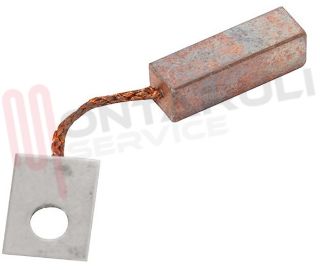 Immagine di CARBONCINO MOTORE ASCIUGATRICE