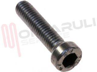 Immagine di VITE FISSAGGIO CESTO M6X30