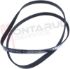 Immagine di CINGHIA RIGHI 5PJE 1234 42025177 1200/1400/1600RPM ORIGINALE