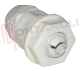 Immagine di RACCORDO GUAINA GIREVOLE D.8MM. DX54008 GEWISS