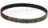 Immagine di CINGHIA RIGHI 5 MEDIO 5PH271