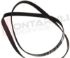 Immagine di CINGHIA RIGHI 8 PHE 1243 9000132494 BOSCH ORIGINALE