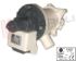 Immagine di POMPA SCARICO 34W 240V B15-6AZ