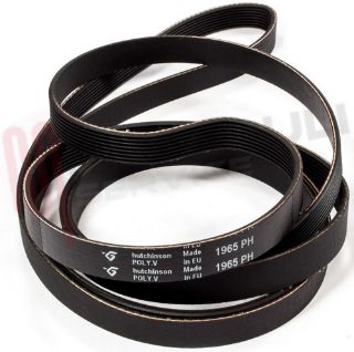 Immagine di CINGHIA RIGHI 8 STRETTI 1965 PH