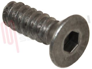 Immagine di VITI AUTOFORANTI INOX FISSAGGIO BRUCIATORE ORIGINALE