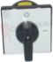 Immagine di INTERRUTTORE TRIPOLARE RETROQ. 16A FIN. P016 CON MOSTRINA