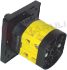 Immagine di INTERRUTTORE TRIPOLARE RETROQ. 16A FIN. P016 CON MOSTRINA